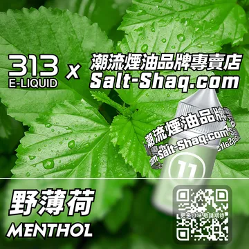 英國【AIRSCREAM 氣泡313】系列電子煙油 自然清新 - 野薄荷